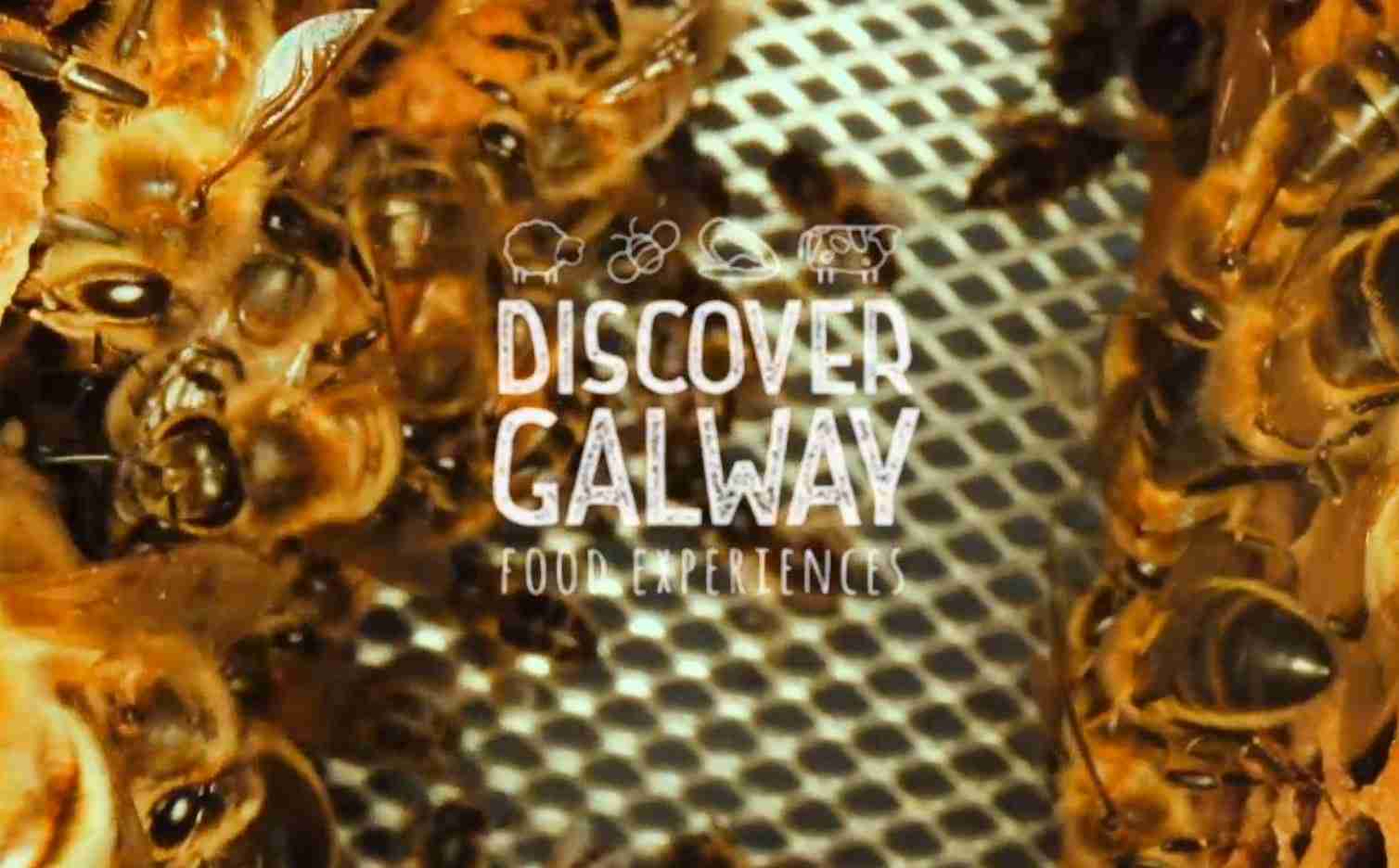 Discover Irish Honey with Discover Galway.