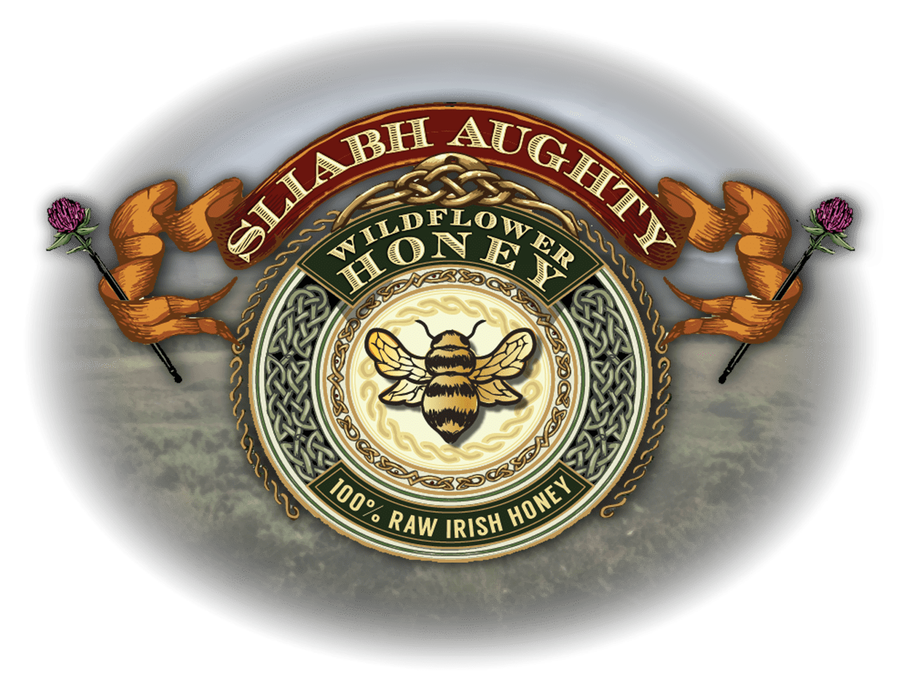 Leahy Beekeeping with Discover Galway